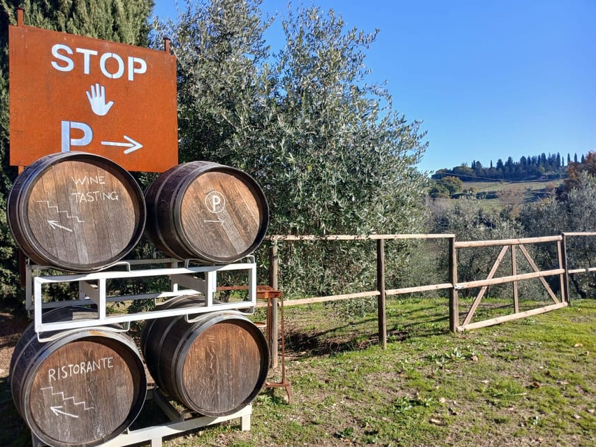 San Gimignano: Winery Visit with Picnic in Olive Grove - What I like, and what I would watch for