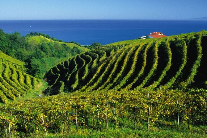 San Juan de Gaztelugatxe with Winery Visit and Lunch (From Bilbao) - From Bilbao to the Biscay coast