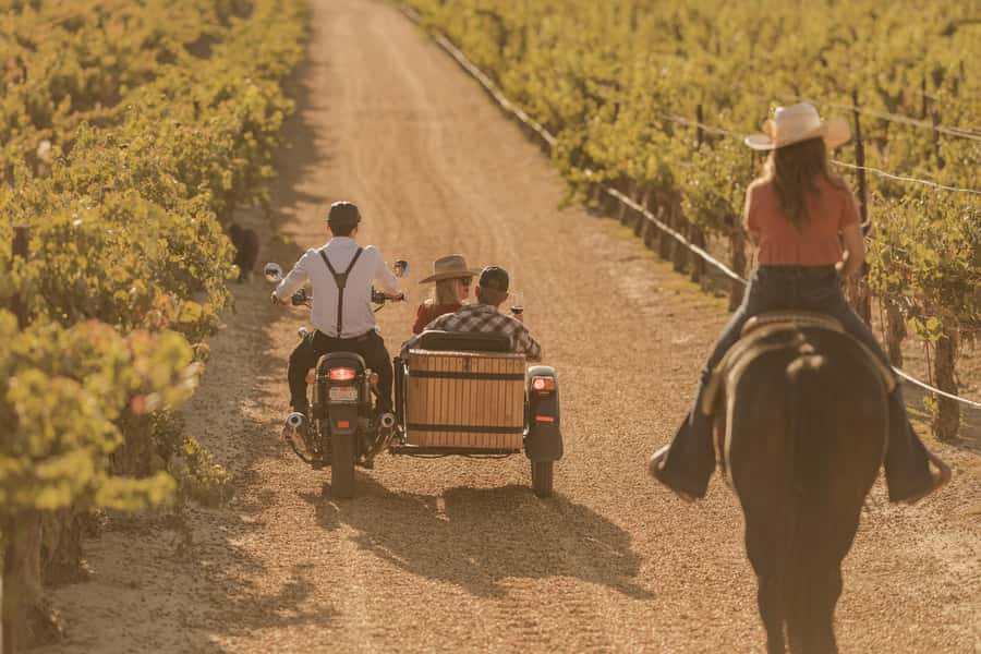 San Luis Obispo: Vineyard Rides Wine Adventure - Key points to know before you book