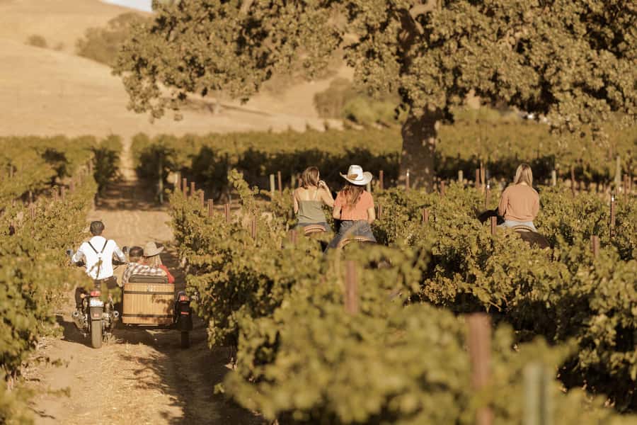 San Luis Obispo: Vineyard Rides Wine Adventure - Practical planning for a smooth ride