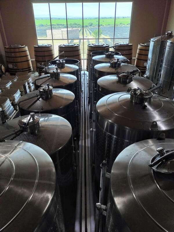 San Miguel de Allende: Local Vineyard Tour & Wine Tasting - A tasting built around Mexican pairings