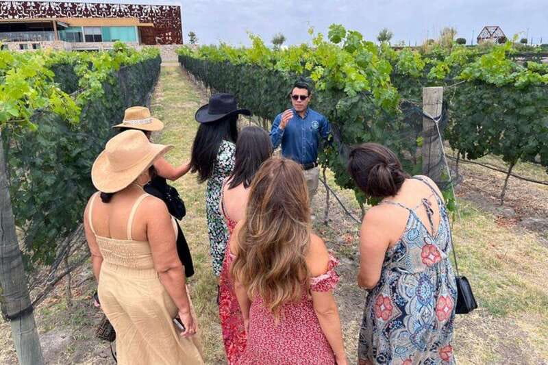 San Miguel de Allende: Local Vineyard Tour & Wine Tasting - The first look at Tres Raíces Winery
