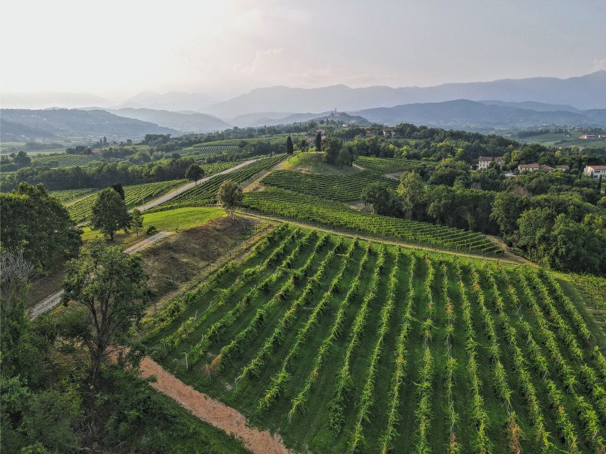 San Pietro di Feletto: Vineyard Tour with Cellar Visit - Local food turns the tasting into a light meal