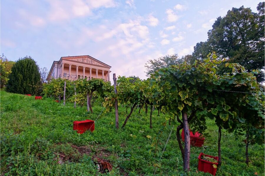 San Pietro di Feletto: Vineyard Tour with Cellar Visit - Who will enjoy this two-hour visit