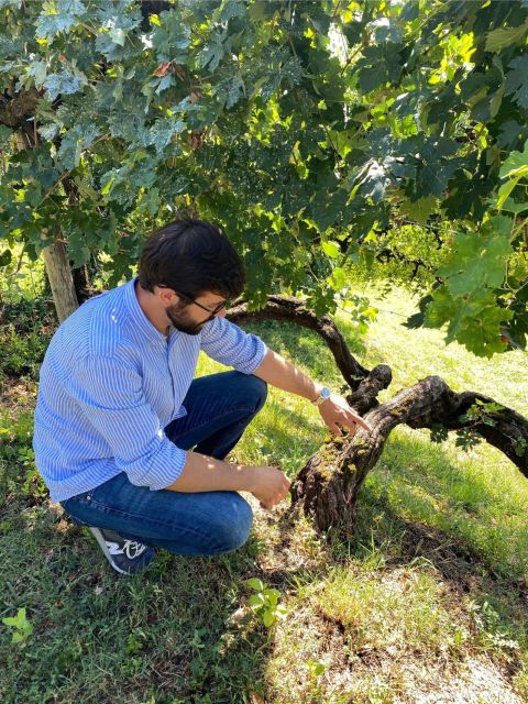 San Pietro di Feletto: Vineyard Tour with Cellar Visit - Booking flexibility and practical details