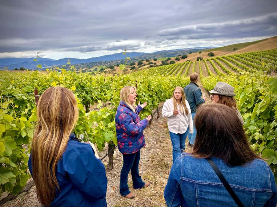 Santa Barbara Small-Group Wine Tour to Private Estates - Why this Santa Barbara wine day feels different