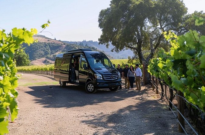 Santa Barbara, Solvang, Wine Country Private from Los Angeles - The Vineyard Winery: A More Relaxed Stop With Farm Animals