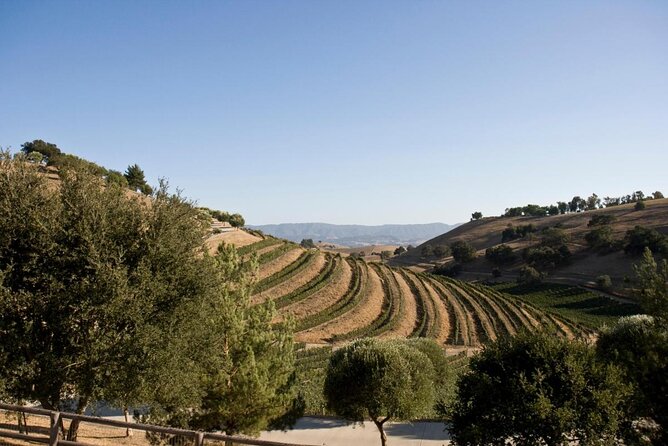 Santa Barbara Wine Country Tour - Key points at a glance