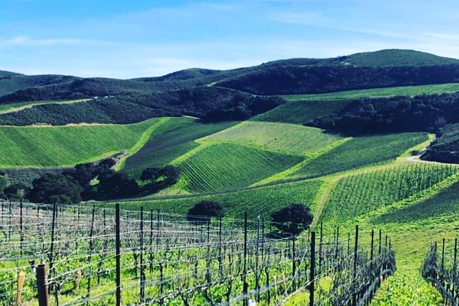 Santa Barbara Wine Country Tour - Booking, cancellations, and useful planning tips