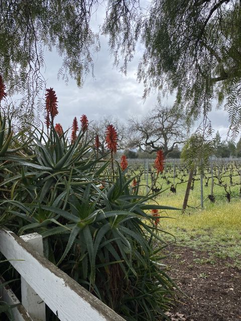 Santa Barbara: Wine Country Tour with Lunch - Is $225 a fair price?