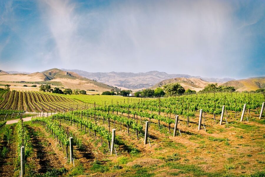 Santa Barbara: Wine Country Tour with Lunch - The changing route through Santa Barbara wine country