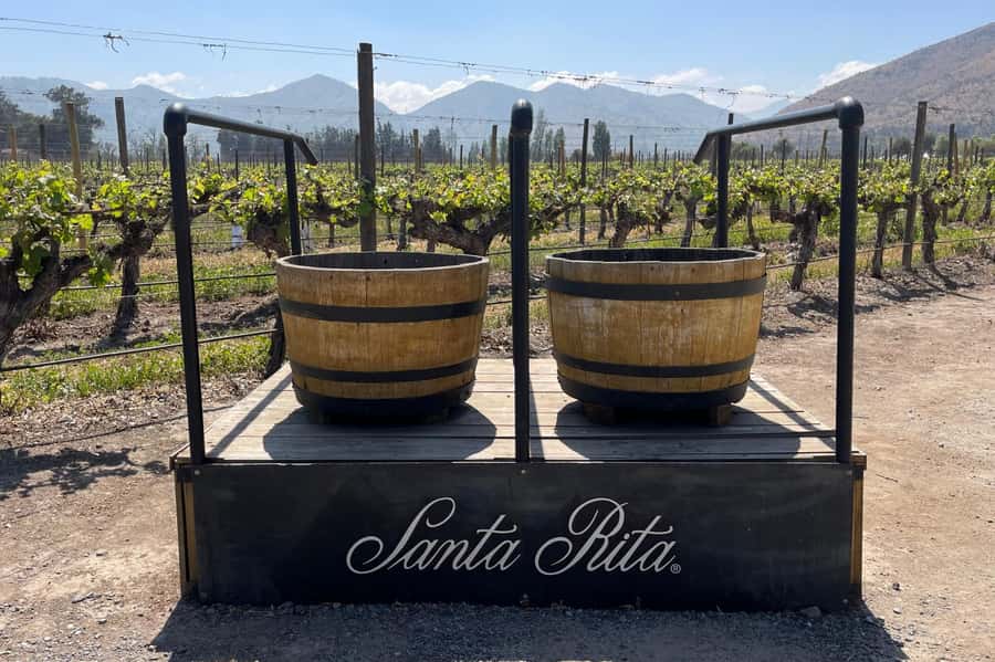 Santa Rita Vineyard Tour: History, Wine, and Outdoor Picnic - Quick points to know