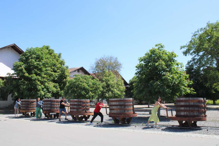 Santa Rita Vineyard Tour: History, Wine, and Outdoor Picnic - Who should book this Santa Rita experience?
