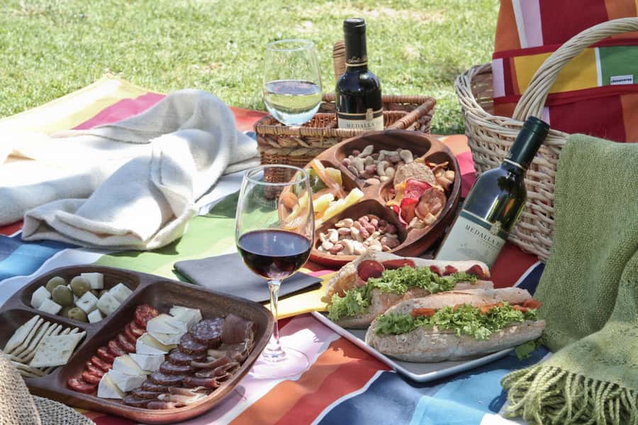 Santa Rita Vineyard Tour: History, Wine, and Outdoor Picnic - The 45-minute vineyard bike ride