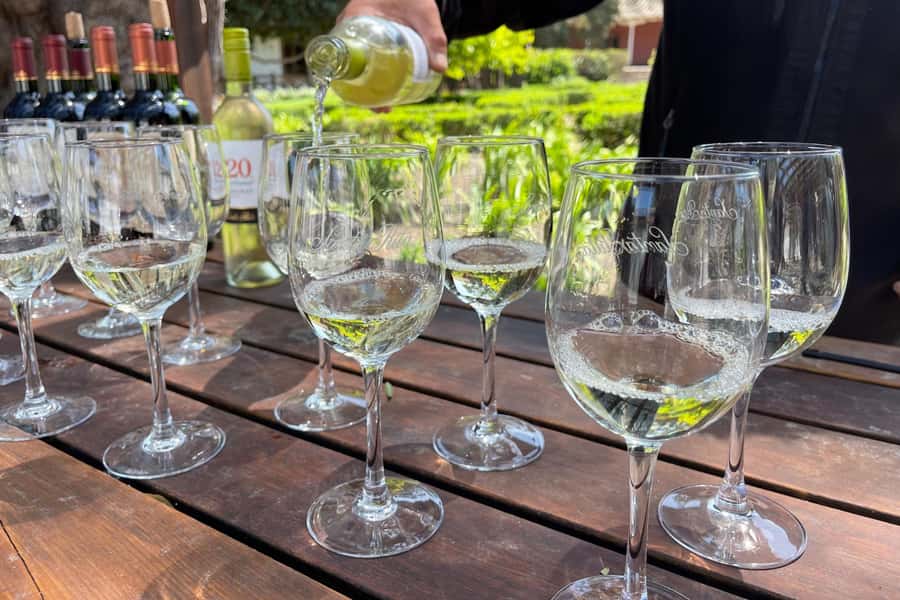 Santa Rita Vineyard Tour: History, Wine, and Outdoor Picnic - The Andean Museum and its 3,000 artifacts