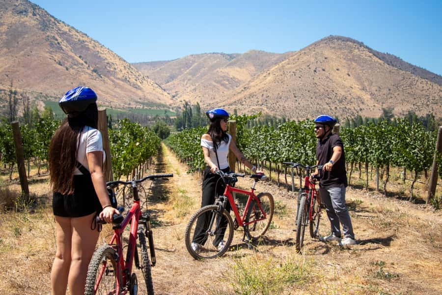Santa Rita Vineyard Tour with Lunch, an Unforgettable Day! - Who Gets The Most From This Tour
