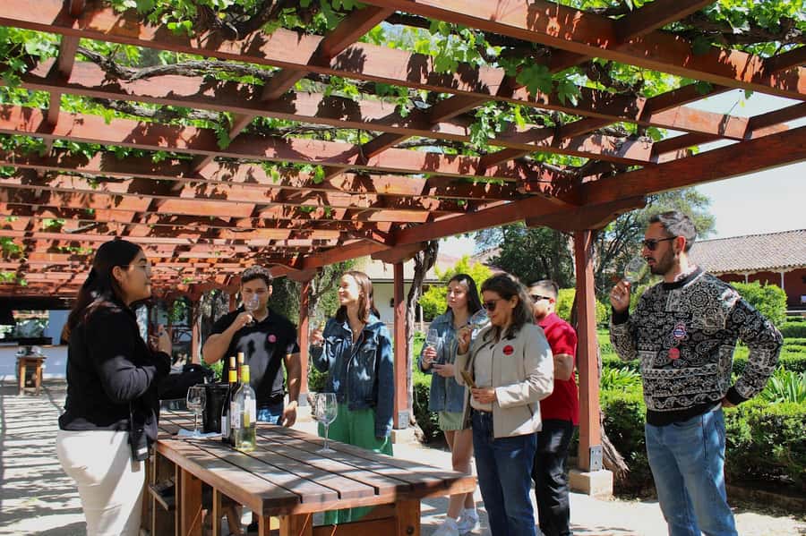 Santa Rita Vineyard Tour with Lunch, an Unforgettable Day! - Why Santa Rita Makes A Good Santiago Day Trip
