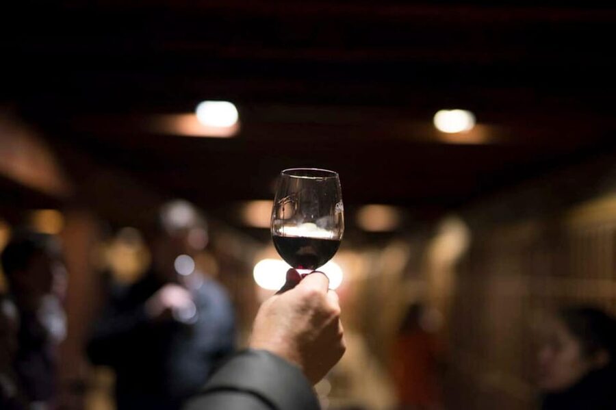 Santa Rita Vineyard Tour with Lunch, an Unforgettable Day! - The Andean Museum And Its 3,000 Objects