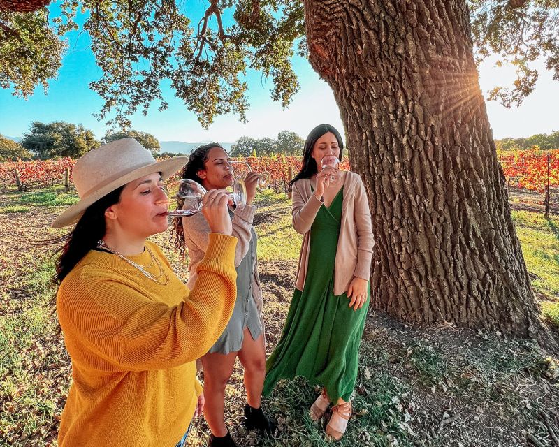 Santa Ynez: Wine Country Tour - The van ride from Santa Barbara or the valley