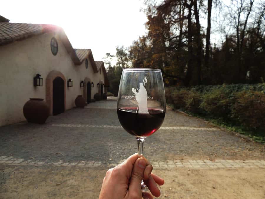 Santiago: Concha y Toro and Undurraga Vineyards Tour - Leaving Santiago for the Maipo Valley