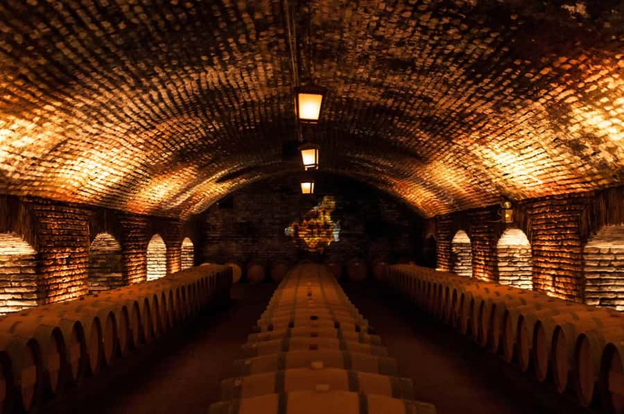 Santiago: Concha y Toro and Undurraga Vineyards Tour - The long lunch break you must plan for