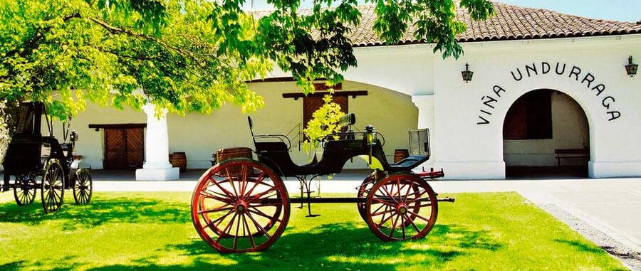 Santiago: Concha y Toro and Undurraga Vineyards Tour - What the $76 price really buys