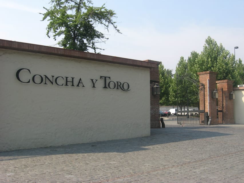 Santiago: Concha y Toro and Undurraga Vineyards Tour - Should you book the Concha y Toro and Undurraga tour?