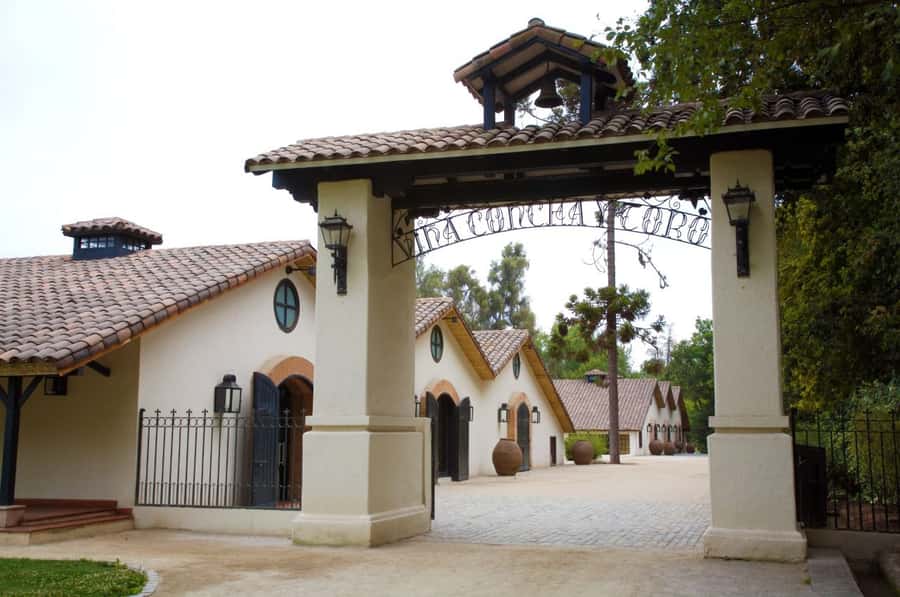 Santiago: Concha y Toro Vineyard Tour w/ Transfer & Tasting - Vines, grapes, and the working side of Concha y Toro