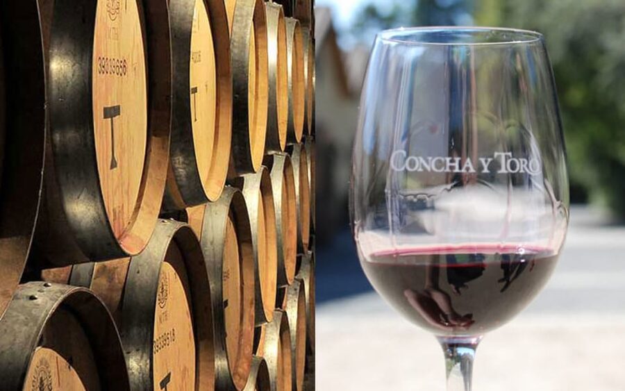 Santiago: Concha y Toro Vineyard Tour w/ Transfer & Tasting - Should you book Concha y Toro with Ruta Chile?