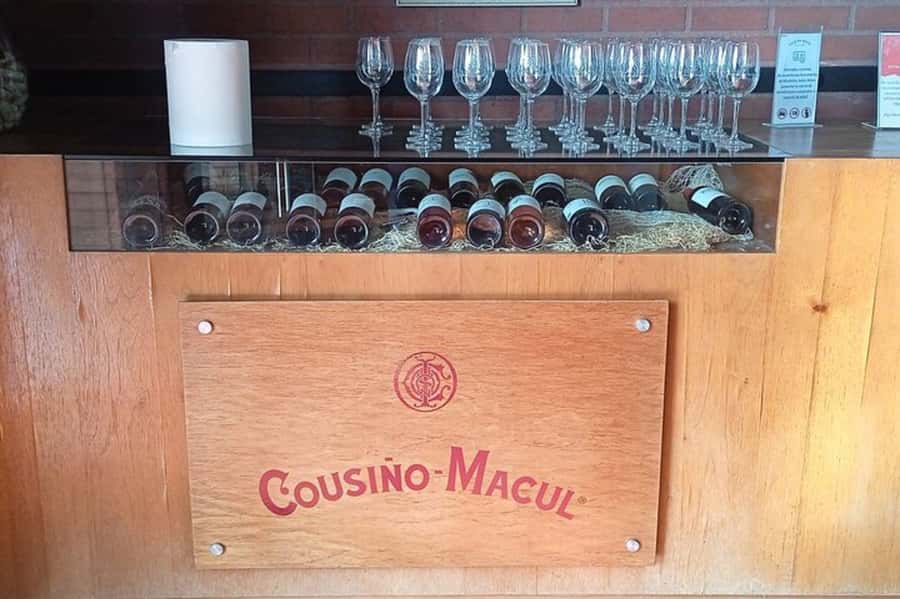 Santiago: Cousiño Macul Vineyard Premium Tasting Tour - Why the guides matter