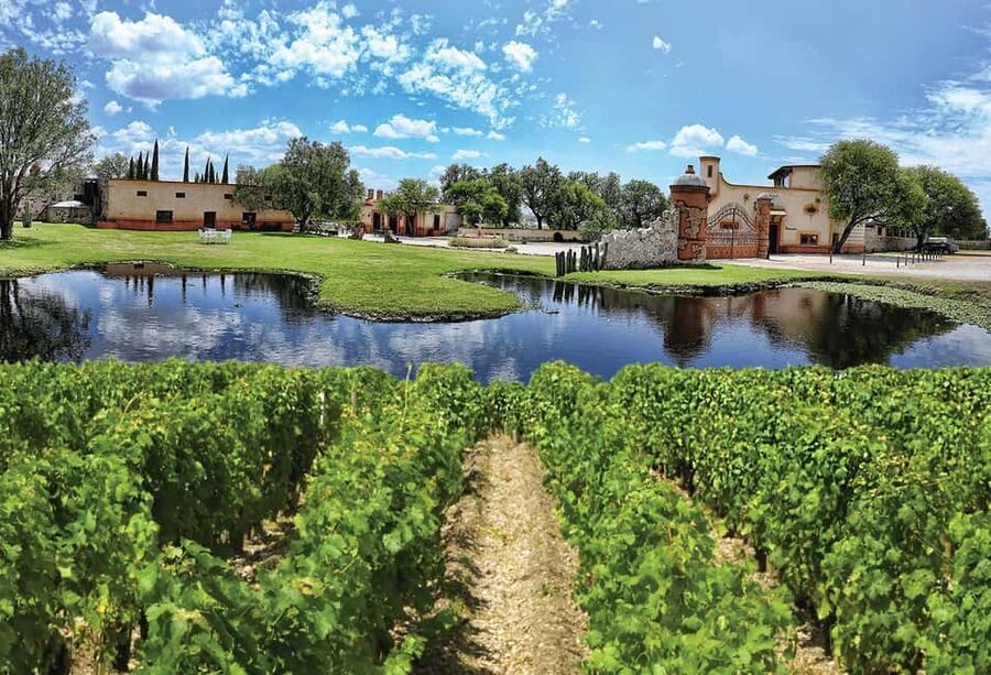 Santiago de Querétaro: Pueblos Mágicos Cheese and Wine Route - Tequisquiapan: pink stone, wicker, and open time