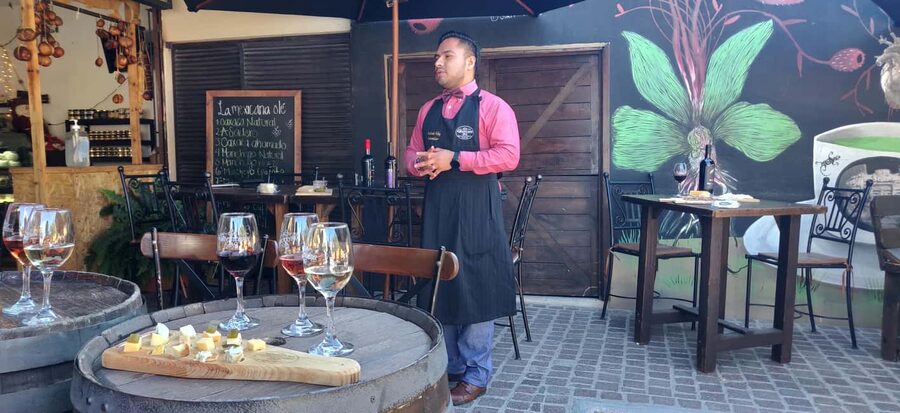 Santiago de Querétaro: Pueblos Mágicos Cheese and Wine Route - Underground at Freixenet México