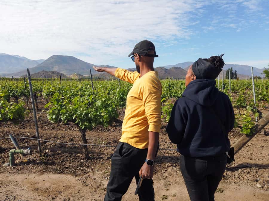 Santiago: Inca Lagoon Tour with Local Vineyard and Tasting - Viña San Esteban and a tasting beside the vines