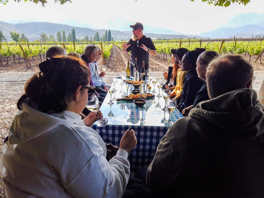 Santiago: Inca Lagoon Tour with Local Vineyard and Tasting - The llama stop on the return journey