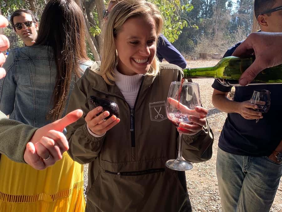 Santiago: Maipo Valley Wine Tasting Tour with 4 Vineyards - Key points to know before booking
