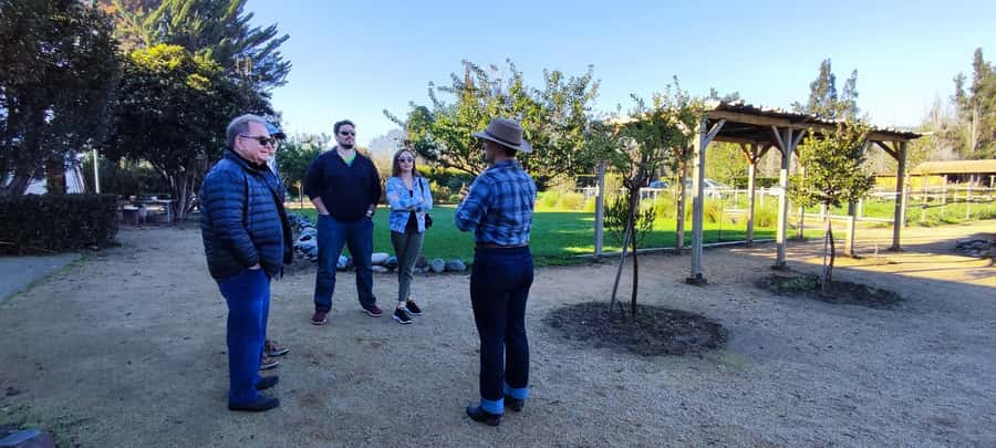 Santiago: Maipo Valley Wine Tasting Tour with 4 Vineyards - Is $134 good value?