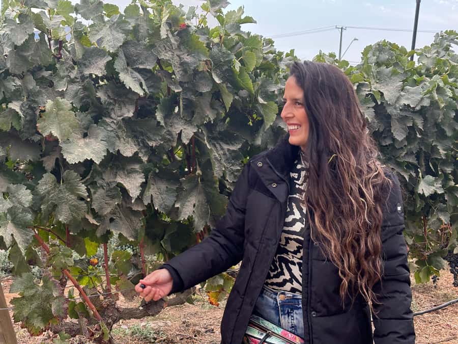 Santiago: Maipo Valley Wine Tasting Tour with 4 Vineyards - Why Maipo Valley makes a good day trip from Santiago