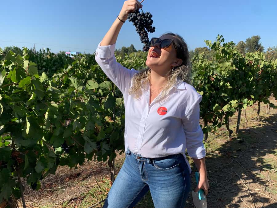 Santiago: Maipo Valley Wine Tasting Tour with 4 Vineyards - Campo La Quirinca: the most personal stop