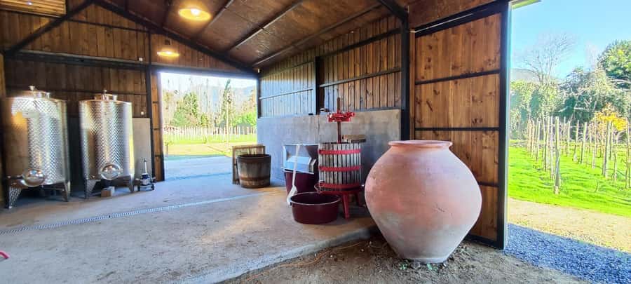 Santiago: Maipo Valley Wine Tasting Tour with 4 Vineyards - Santa Ema: a polished tasting in a calm setting