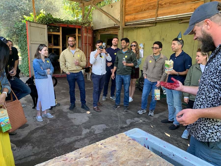 Santiago: Maipo Valley Wine Tasting Tour with 4 Vineyards - TerraMater and Zinfandel: lunch, olive oil, and a needed pause