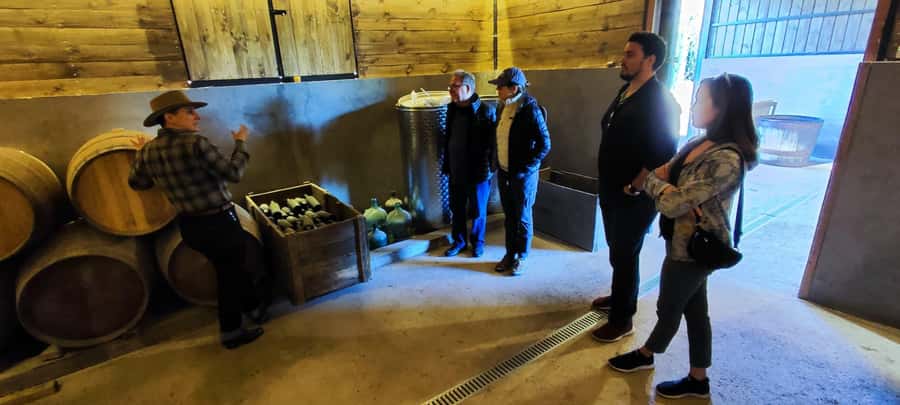 Santiago: Maipo Valley Wine Tasting Tour with 4 Vineyards - Guide quality and group atmosphere
