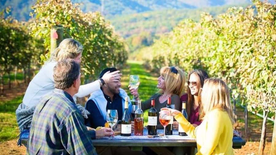 Santiago: Maipo Valley Wine Tasting Tour with 4 Vineyards - A quick stop beside the Maipo River