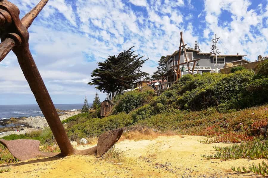 Santiago: Veramonte Vineyard, Isla Negra and Algarrobo, - Who should book this experience?