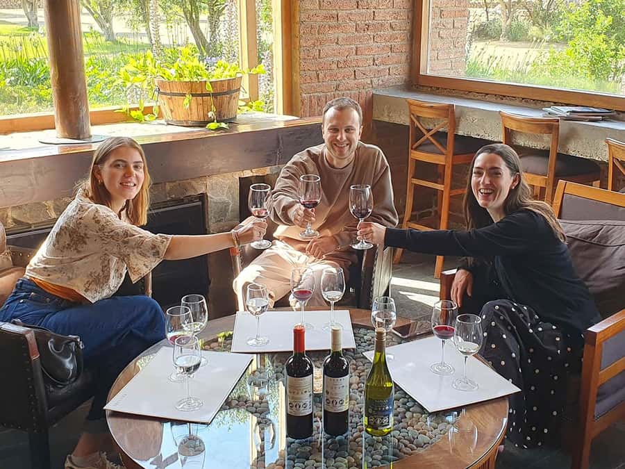 Santiago: World-class Wines, Visit to 4 Vineyards and Tanino - Why the Casablanca Valley makes a good day trip from Santiago