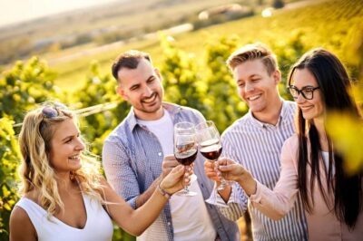 World-class Wines, Visit to 4 Vineyards and Tanino