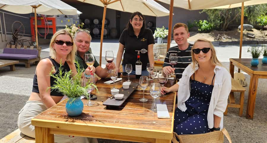Santiago: World-class Wines, Visit to 4 Vineyards and Tanino - Bodegas RE: the most unusual stop