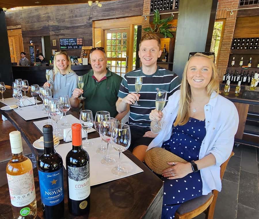 Santiago: World-class Wines, Visit to 4 Vineyards and Tanino - Casas del Bosque and Tanino: a scenic finish