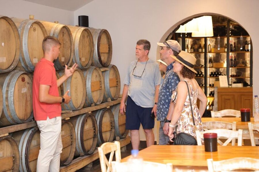 Santorini: Vineyard and Winery Tour with Cooking Class - Why Santorini wine needs explaining