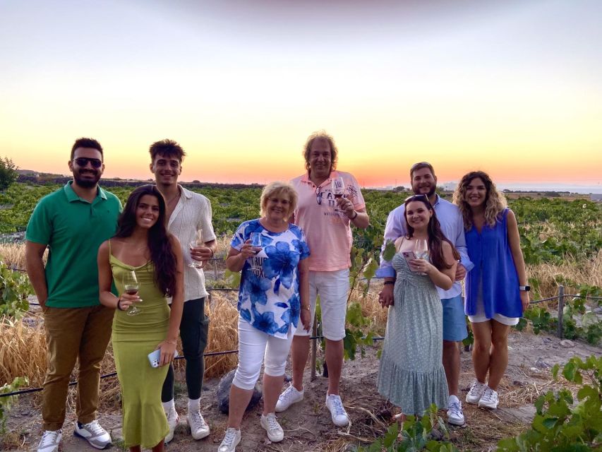 Santorini: Vineyard and Winery Tour with Cooking Class - Timing, flexibility, and cancellation