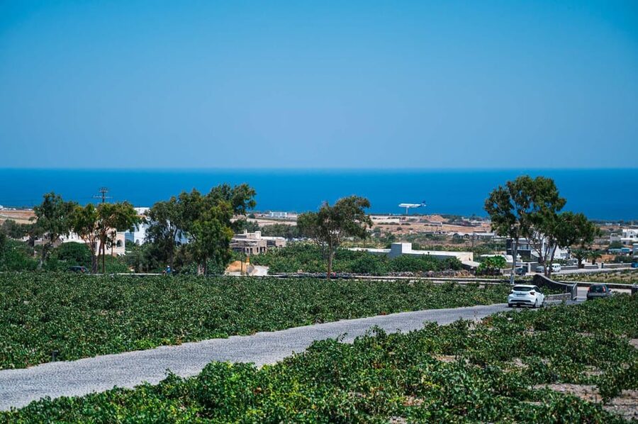 Santorini Wine Tasting and Vineyard Tour - The second winery stop takes 45 minutes